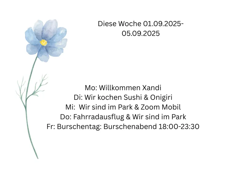 Wochenprogramm